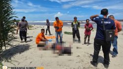 Sempat Diamankan Karena Dugaan Curi Sawit, Pria 36 Tahun Ditemukan Tak Bernyawa Dua Hari Kemudian